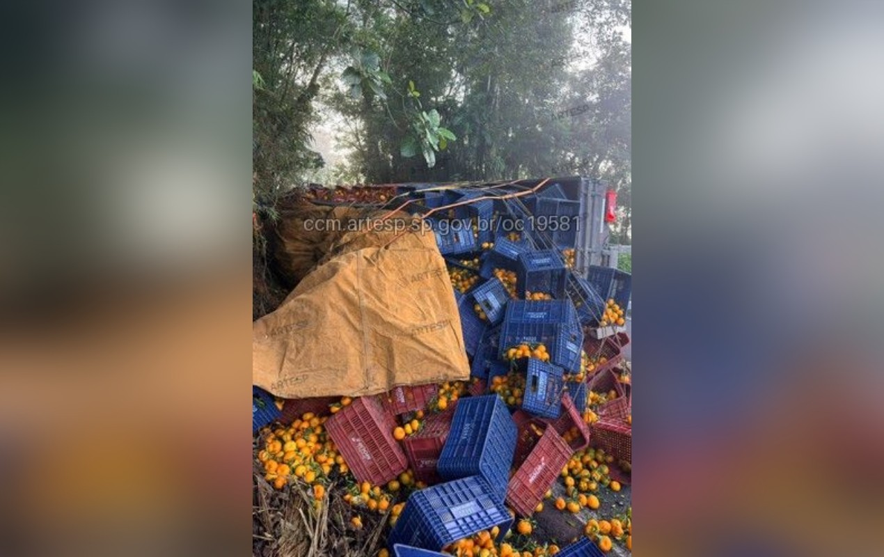 Caminhão tomba e derruba carga de mexerica em rodovia no interior de SP