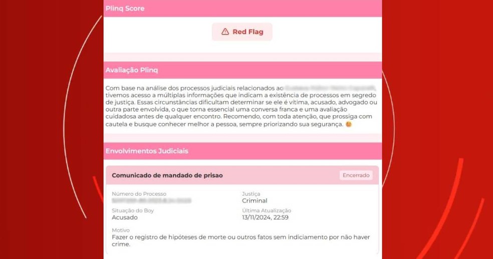 Plinq categoriza perfis em 'red flag', 'green flag' e 'yellow flag' — Foto: Reprodução