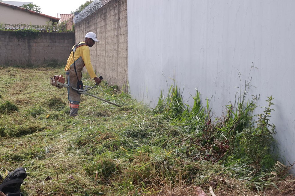 Prefeitura notifica donos de terrenos a limparem lotes em Uberlândia — Foto: Prefeitura de Uberlândia/Divulgação