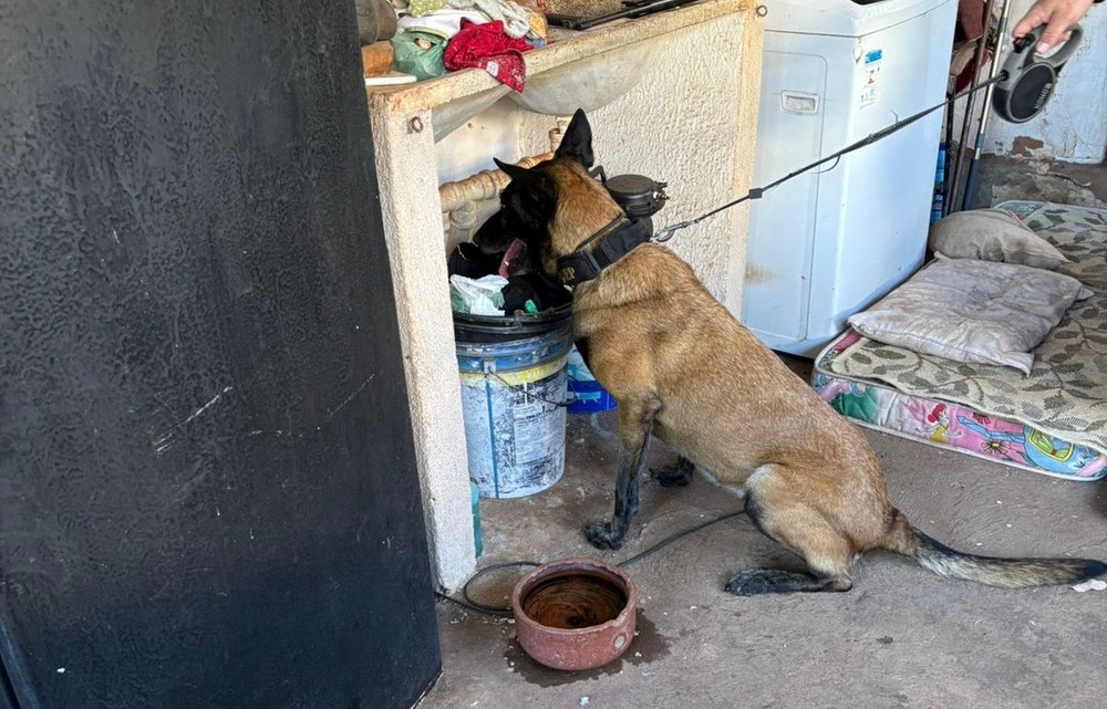 Polícia Federal cumpre mandados de prisão contra quadrilha suspeita de tráfico de drogas no noroeste de SP