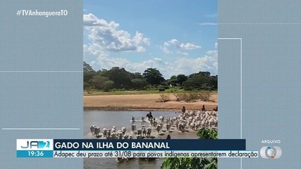 Adapec dá prazo de 11 dias para povos indígenas apresentarem declaração de gado
