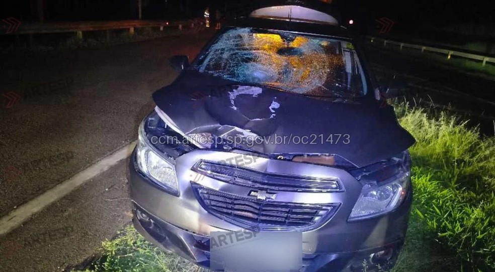 Ciclista morre após ser atingido por carro na Rodovia Marechal Rondon, em Porto Feliz — Foto: Divulgação/Artesp