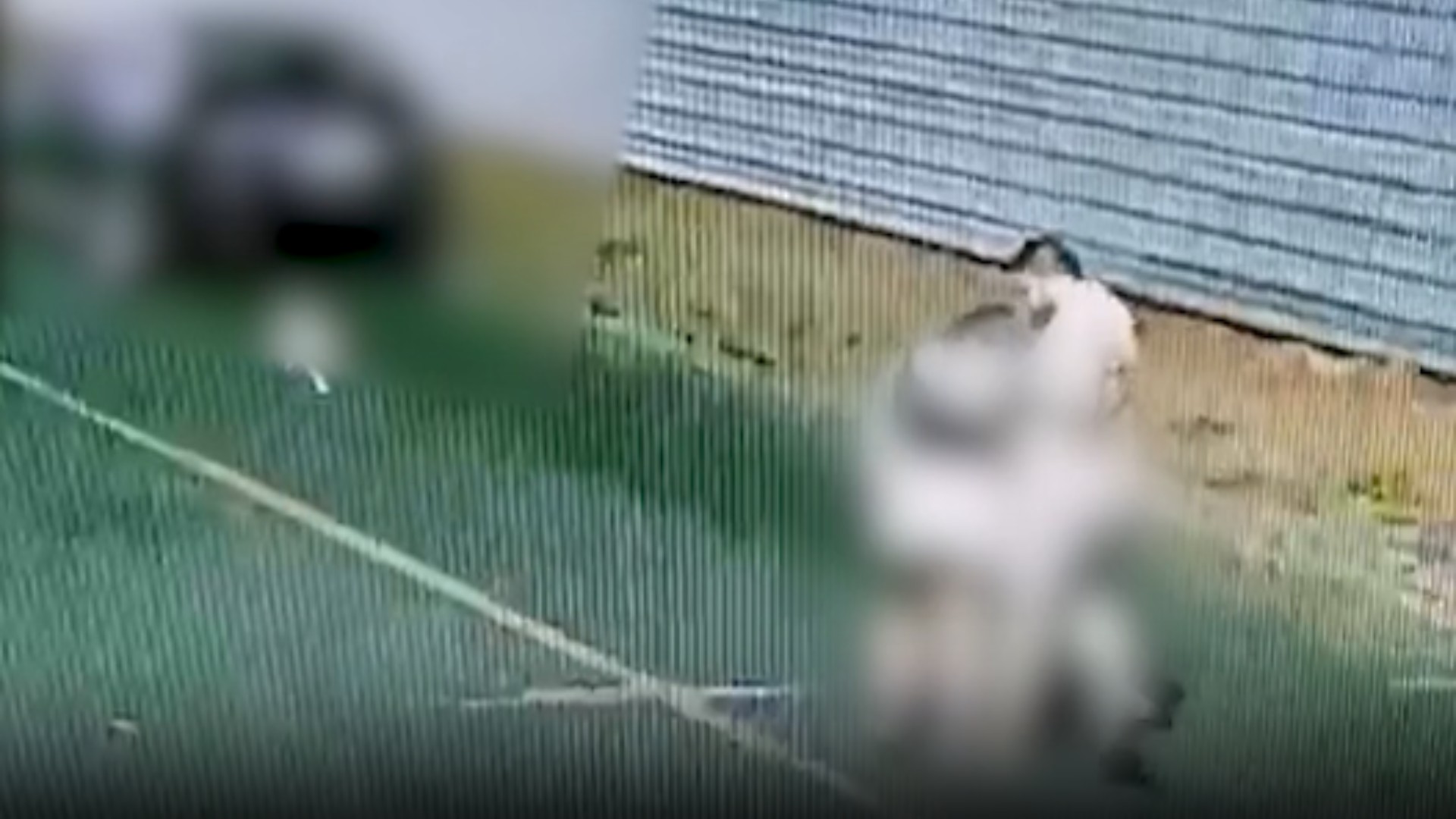 VÍDEO: Homem agride namorada com puxões de cabelo e pisões no rosto em Uberlândia