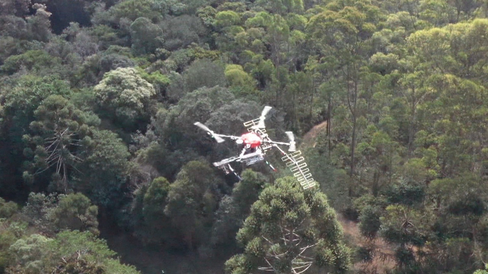 Caso Marco Aurélio: buscas 40 anos após sumiço usam drones com IA para varredura no Pico dos Marins