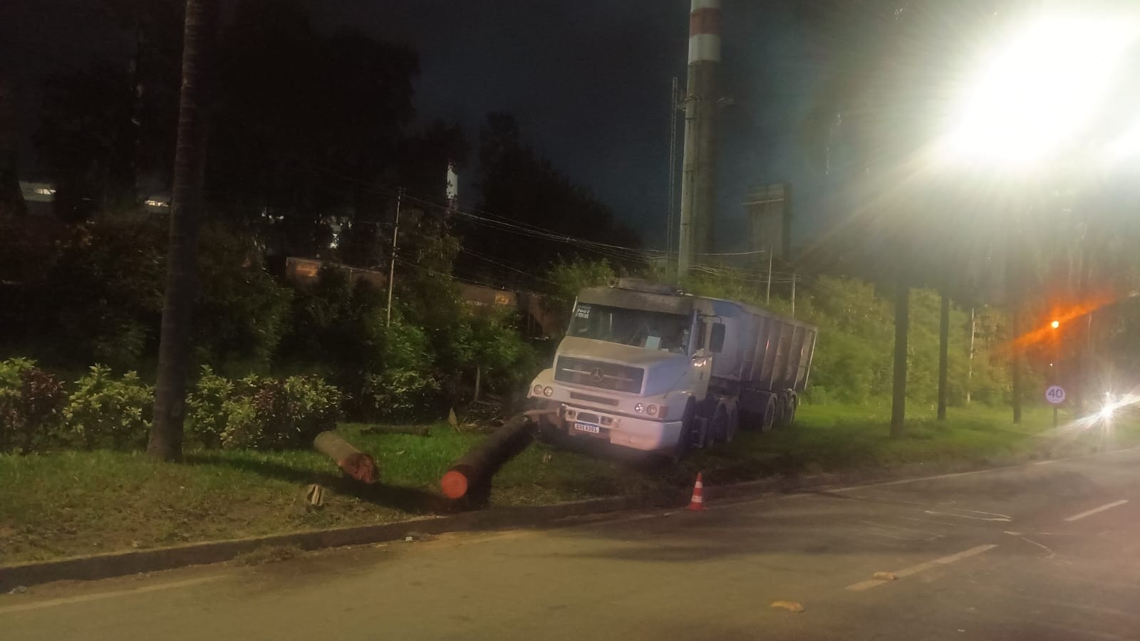 Carreta carregada com minério bate em palmeira após motorista dormir ao volante na BR-458, em Ipatinga