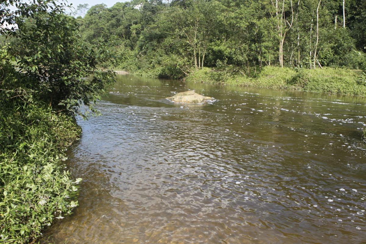 Três corpos são localizados após possível cabeça d’água no Rio Perequê; buscas são encerradas