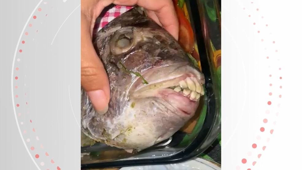Família só percebeu que o peixe sargo-de-dentes tinha a arcada dentária parecida com a humana quando foi começar a limpar o peixe. Animal foi pescado no Espírito Santo — Foto: Reprodução/Redes sociais