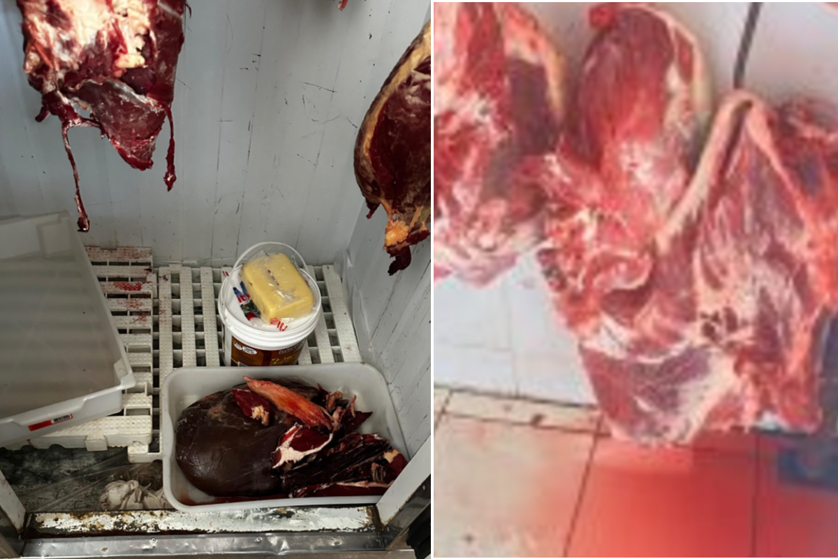 Empresários são presos com mais de 1 tonelada de carne vencida em açougues de Bandeirantes