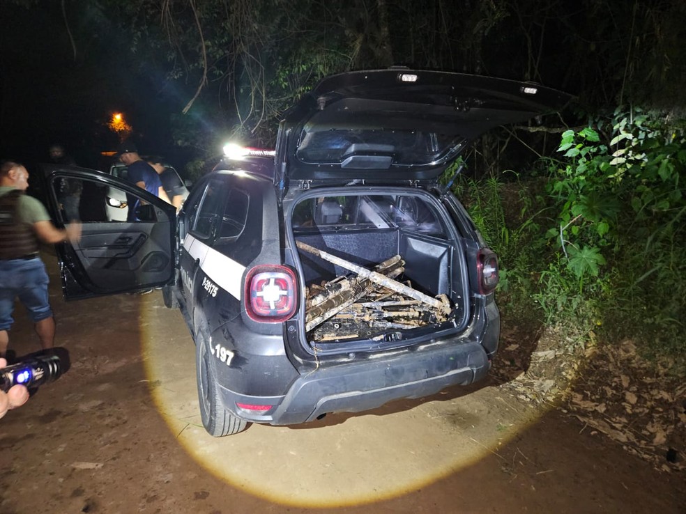 Nove armas furtadas do Exército são encontradas na Grande SP — Foto: Divulgação/Polícia Civil