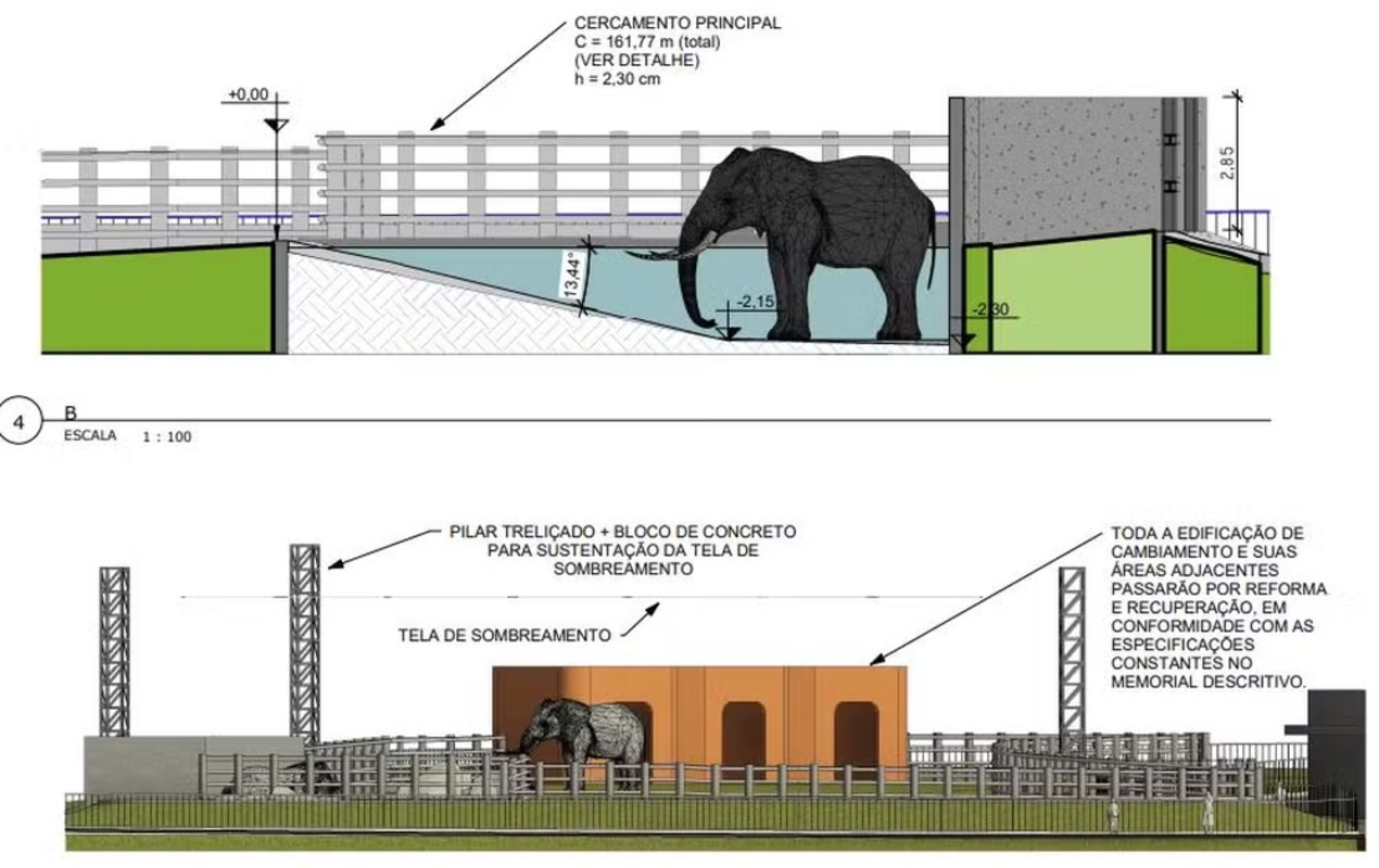 Projeto de R$ 3,1 milhões para recinto do elefante Sandro em Sorocaba levou 3 anos e segue travado na prefeitura