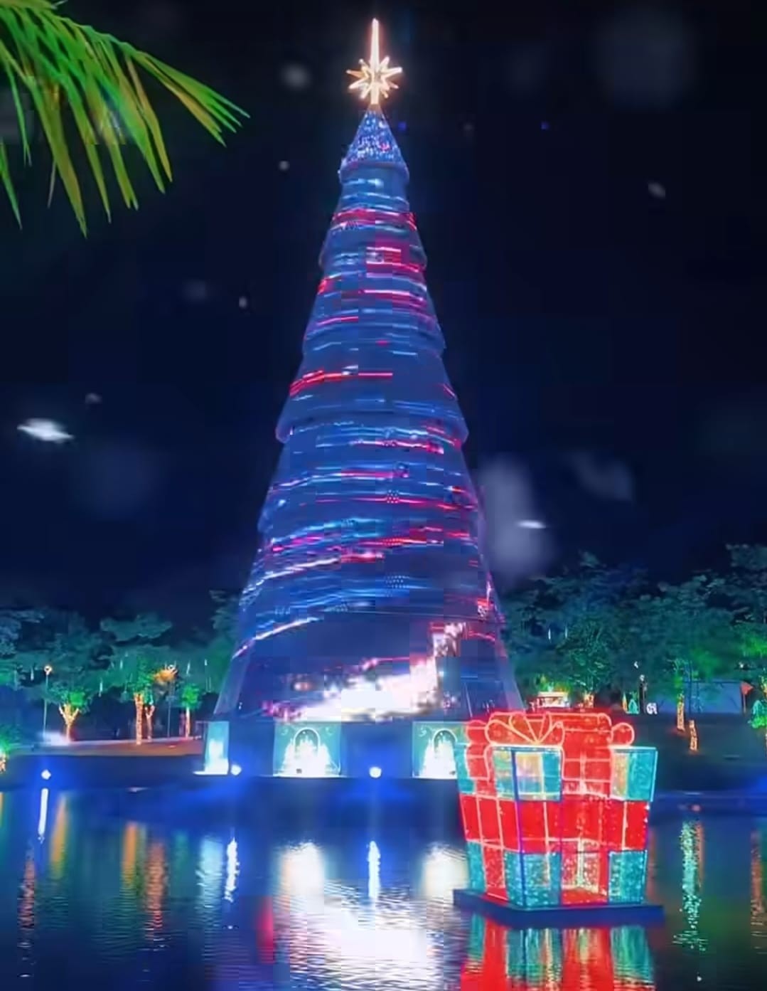 Árvore de Natal em Porto Velho — Foto: Reprodução