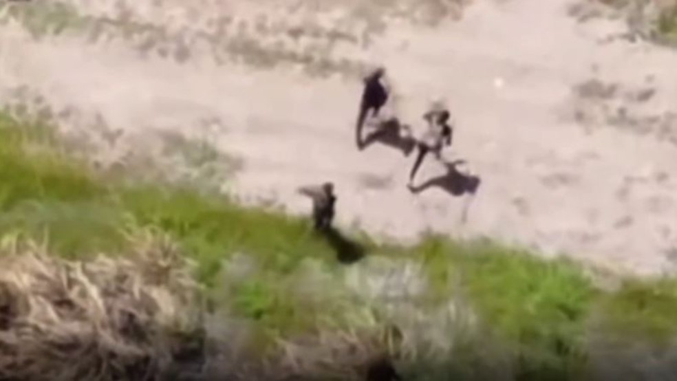 Polícia apreende fuzis, pistolas e granada durante perseguição em matagal em Fortaleza — Foto: TV Verdes Mares/Reprodução