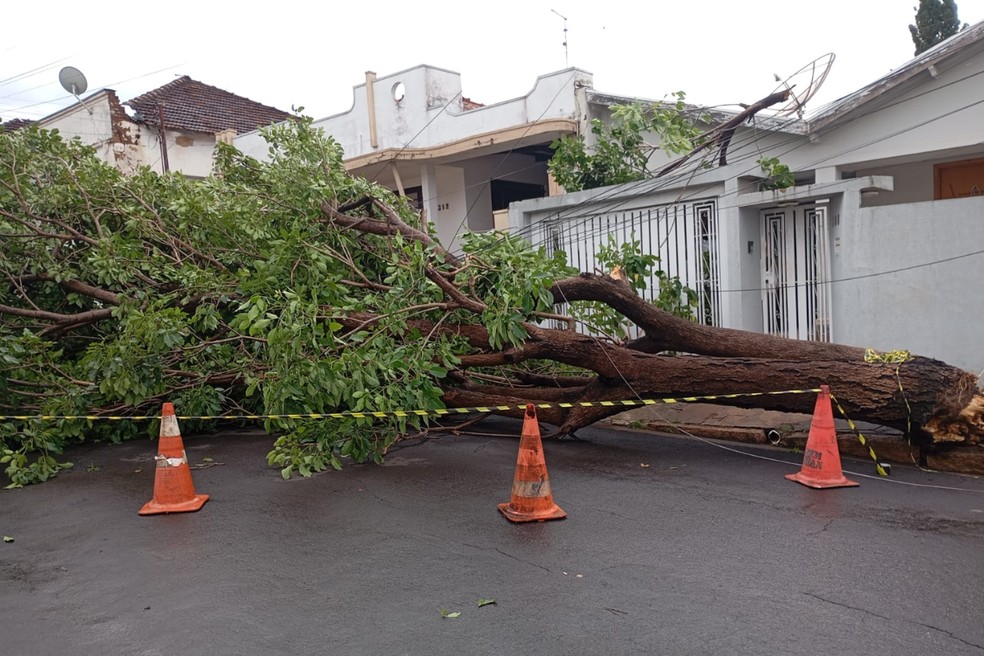 Estragos foram registrados em vários pontos de Adamantina (SP) — Foto: Prefeitura de Adamantina