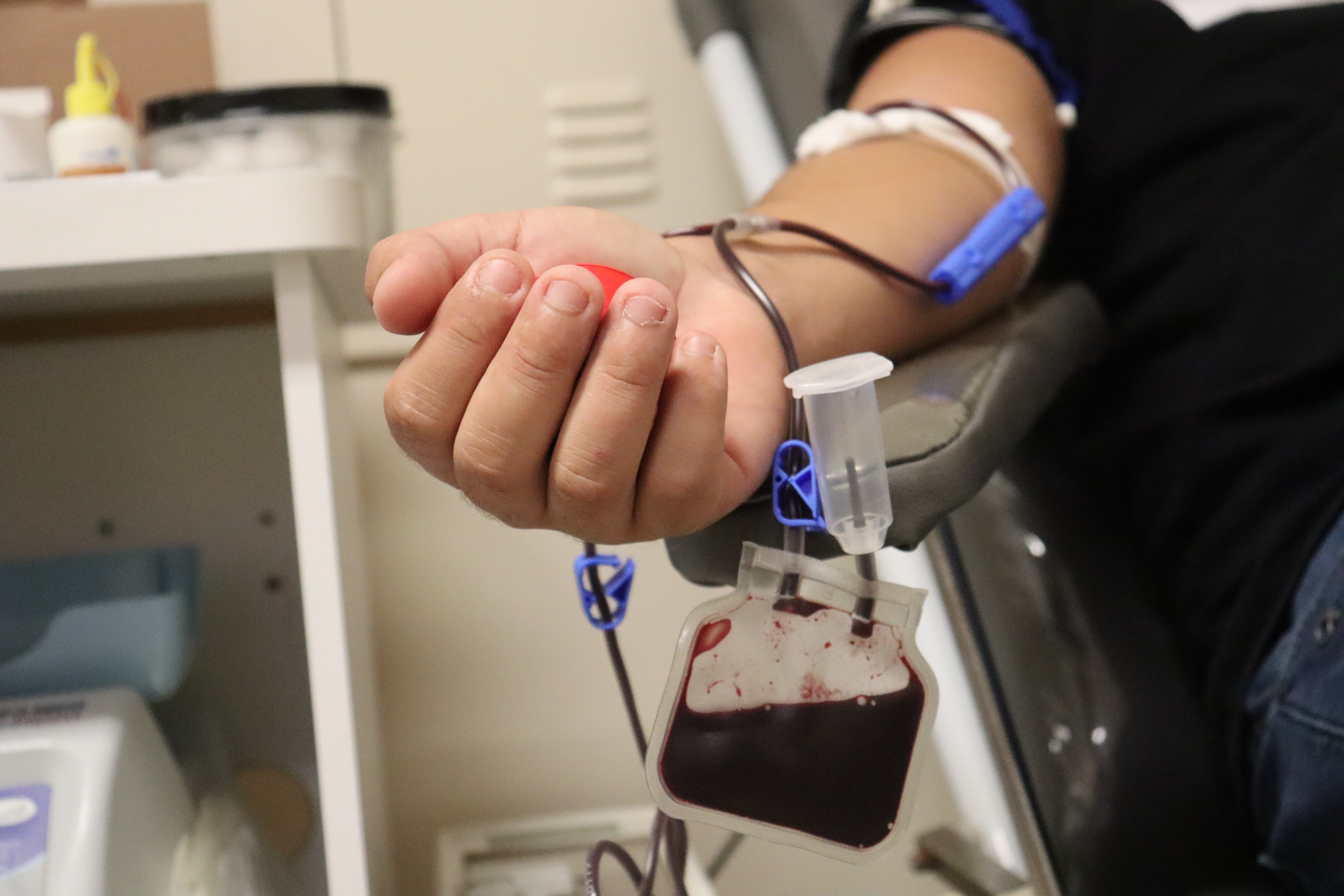 HackTown 2024 faz campanha para estimular doação de sangue no Sul de MG; saiba como participar