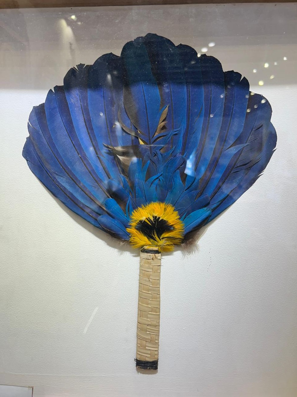 Artefatos indígenas foram apreendidos pelo Ibama em Salvador — Foto: Ibama