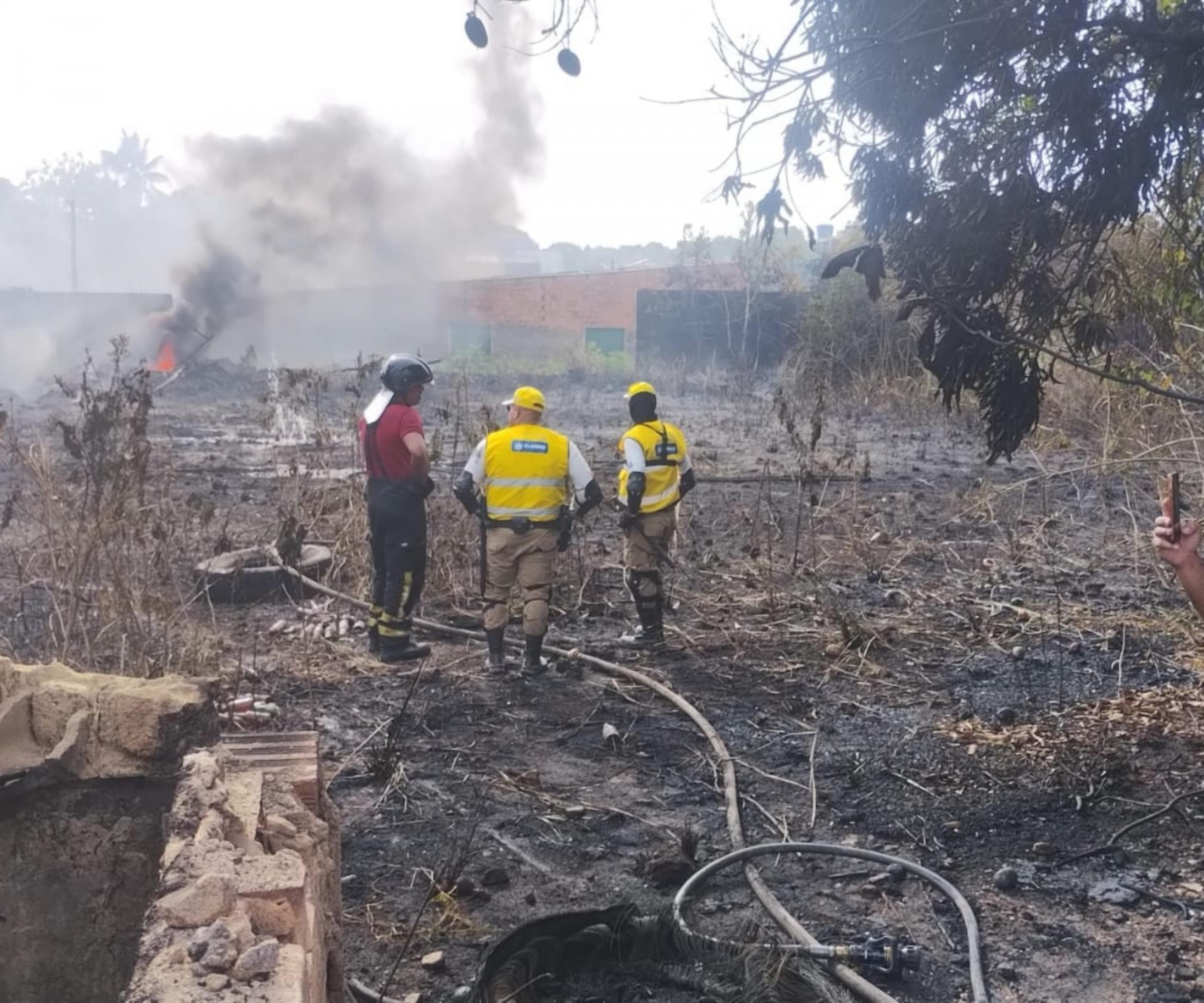 Incêndio de grandes proporções destrói área verde de chácara em Rio Largo