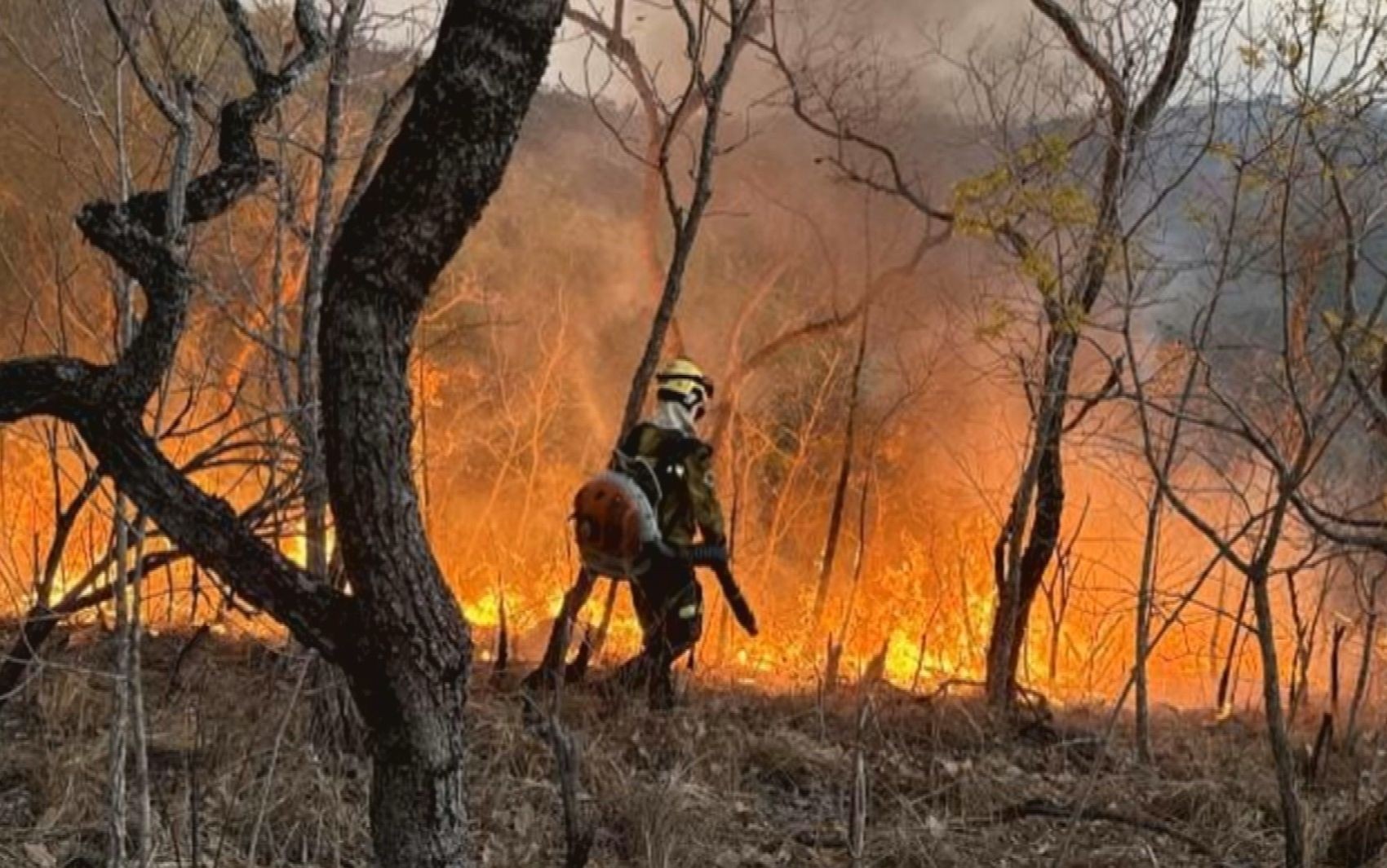 Incêndio atinge reserva indígena Avá-Canoeiro, em Goiás