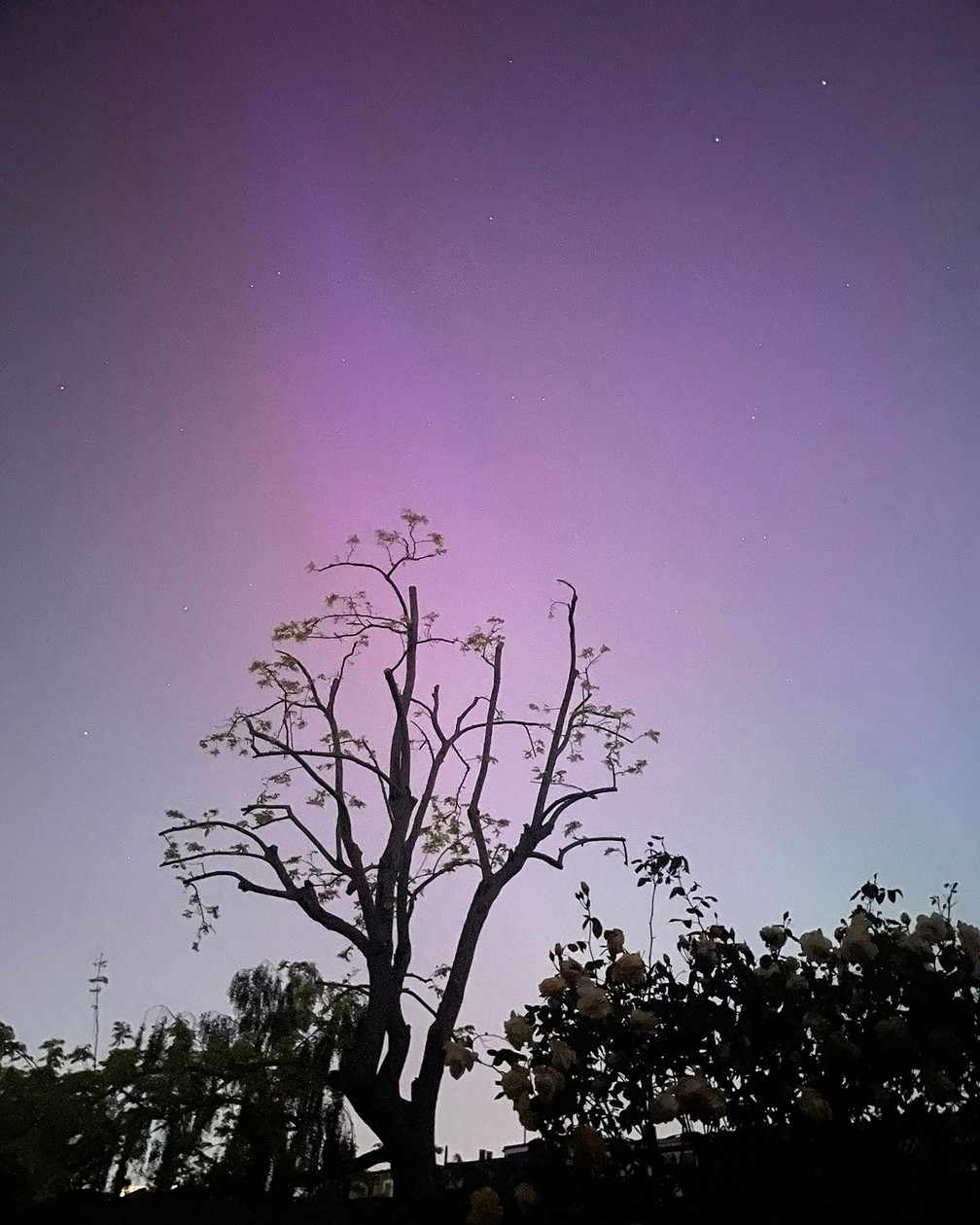 Aurora boreal  vista em Londres na madrugada do sbado (11 de maio) — Foto: Rosanna Normaton/AFP