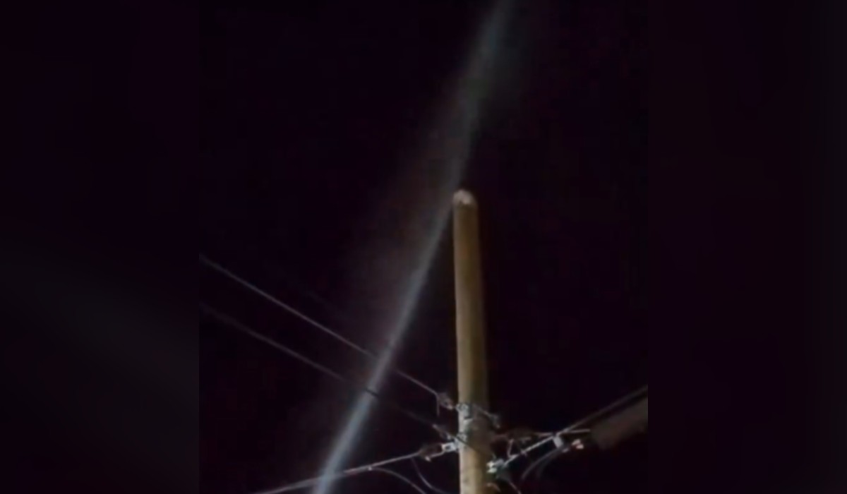 VÍDEO: gato cai de poste elétrico ao ser atingido por três jatos d' água em Guaimbê