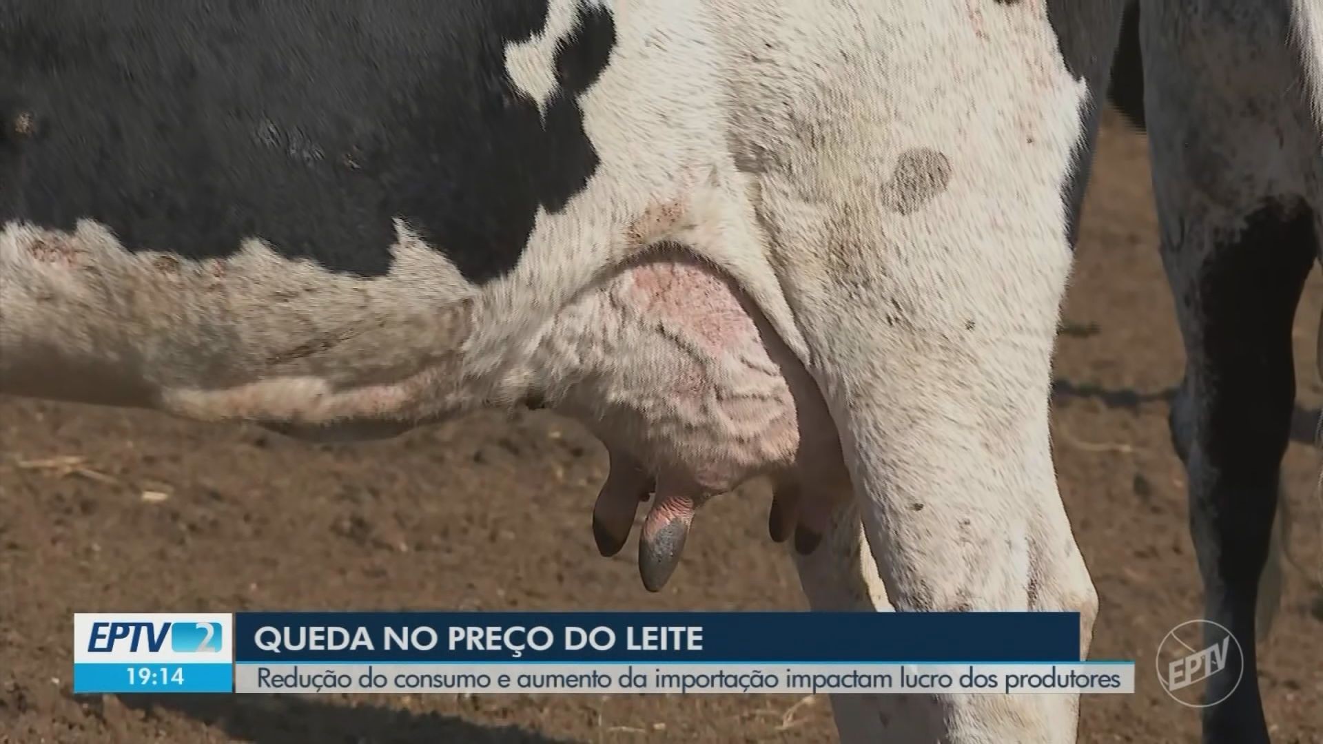 Você Não Tá Convidada pro Meu Bat Mitzvá!