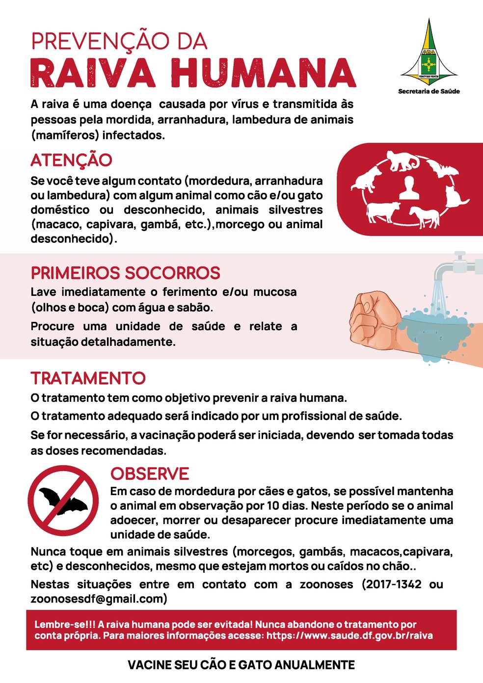 Folheto com dicas de prevenção da raiva — Foto: Secretaria de Saúde do DF