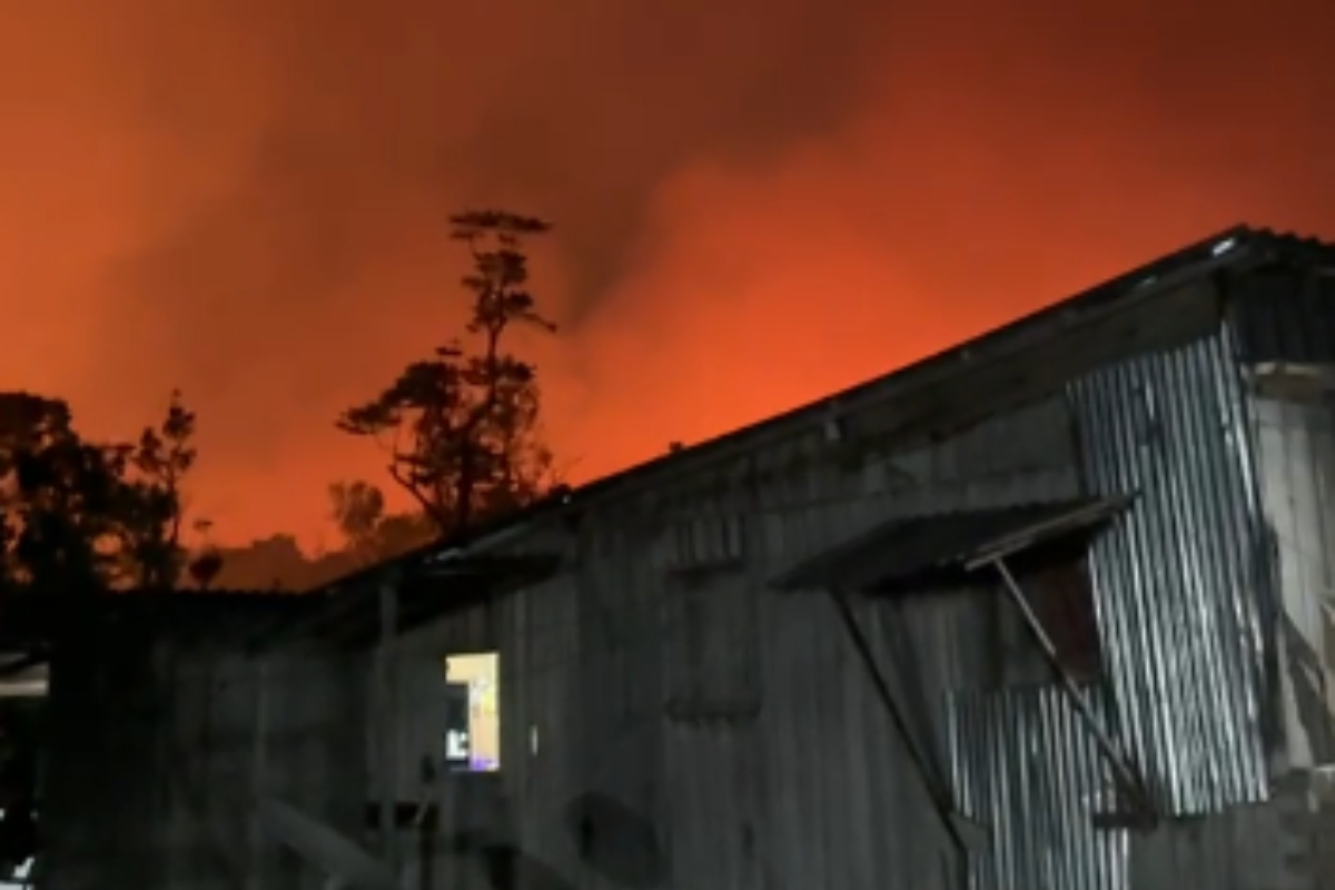 Moradores pedem ajuda para combater incêndio que ameaça casas e plantações em Manacapuru, no AM