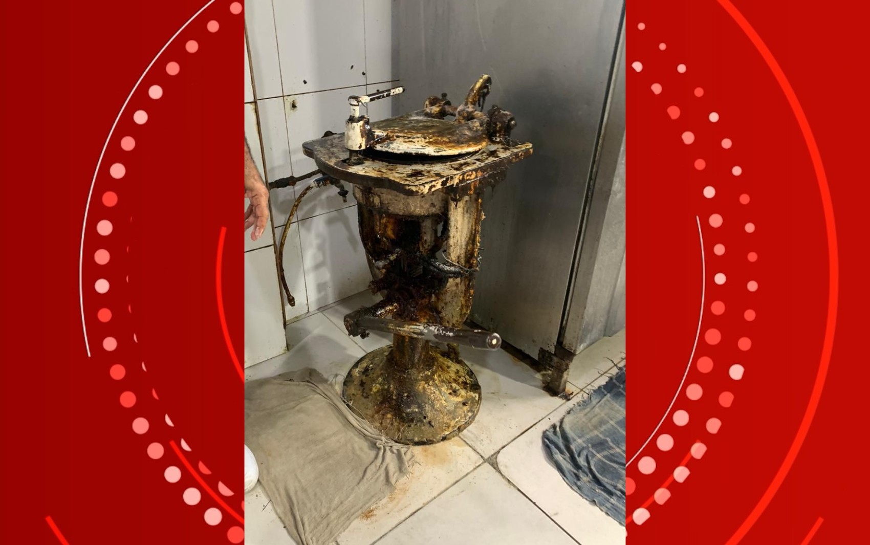 Padaria irregular há mais de sete anos é interditada por condições precárias de higiene em Feira de Santana