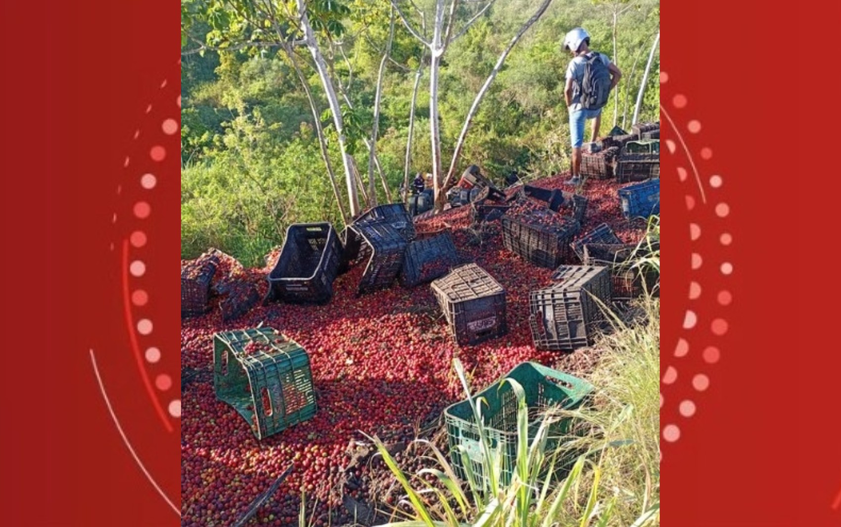 Motorista morre após carreta carregada com acerolas tombar e cair em ribanceira na Bahia