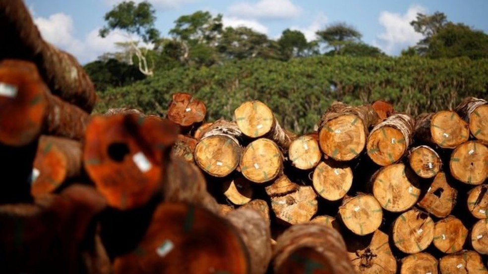 Crise climática: seca severa na Amazônia é agravada por desmatamento e fogo