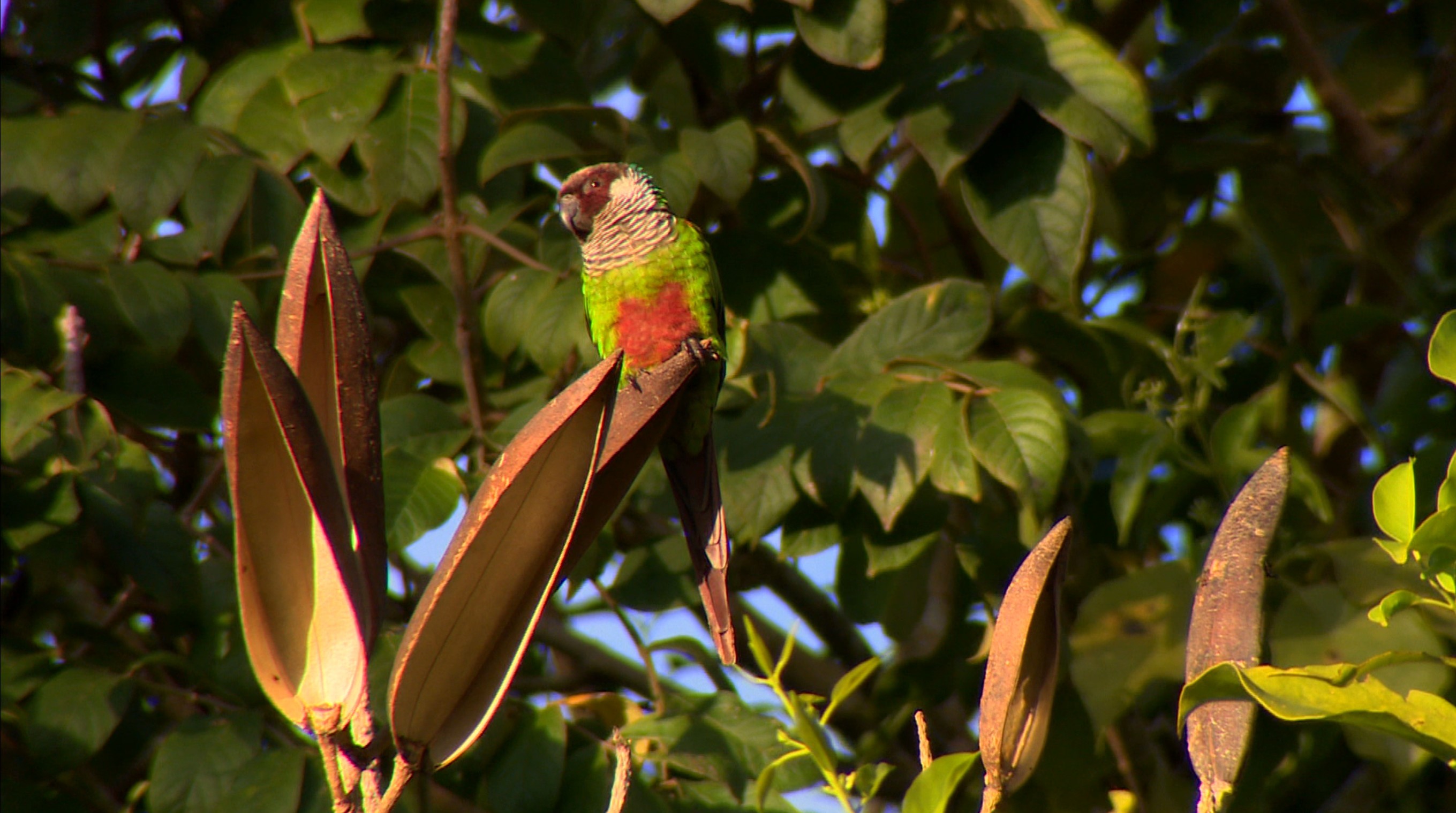 Terra da Gente acompanha expedição em alto mar e projetos de conservação no Ceará