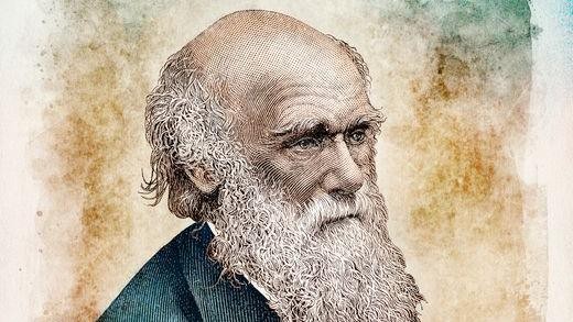 Como viagem de Darwin ao Brasil influenciou a Teoria da Evolução