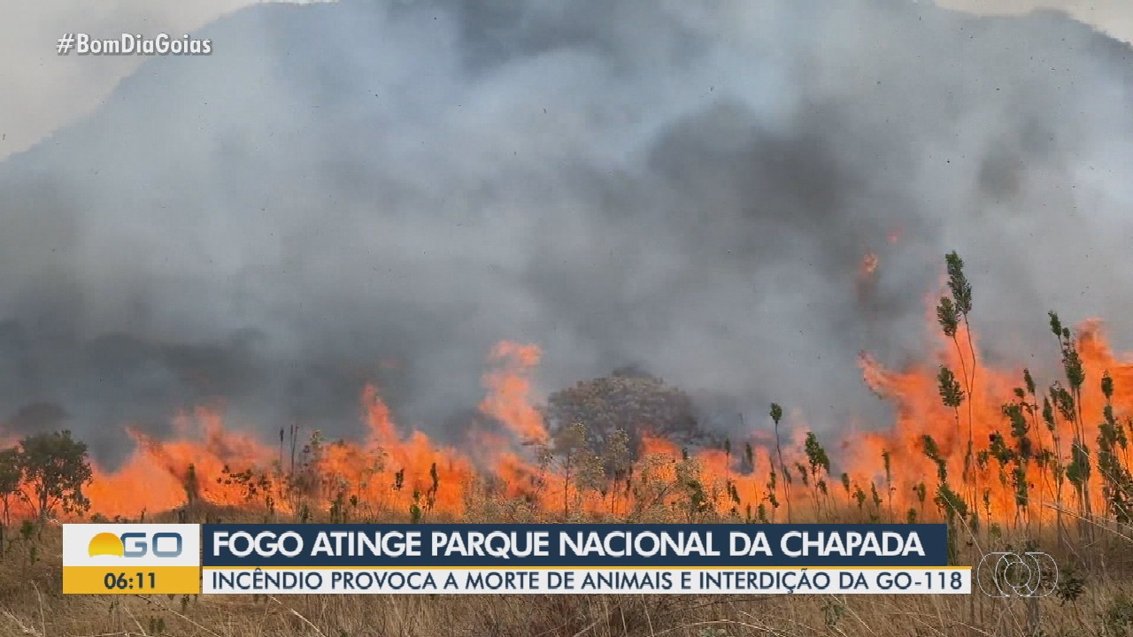 VÍDEOS: Bom Dia Goiás desta segunda-feira, 13 de outubro de 2025 