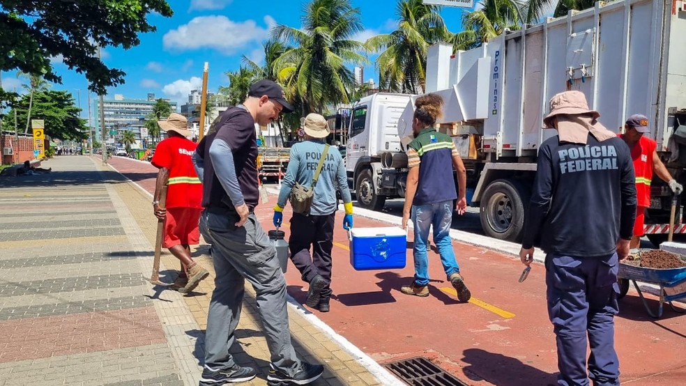 Fiscalização realizada em conjunto com a Sudema, Cagepa, Secretaria de Meio Ambiente e Sustentabilidade e a Polícia Federal da Paraíba — Foto: Reprodução/Sudema