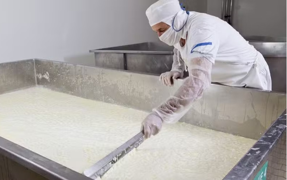 Fabricante de lácteos do Sul de Minas é vendida para Laticínios Porto  Alegre | Sul de Minas | G1