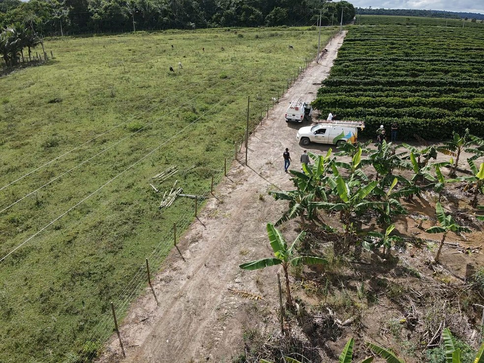 Furto de energia é identificado em fazenda de café no extremo-sul da BA — Foto: Divulgação/Neonergia Coelba