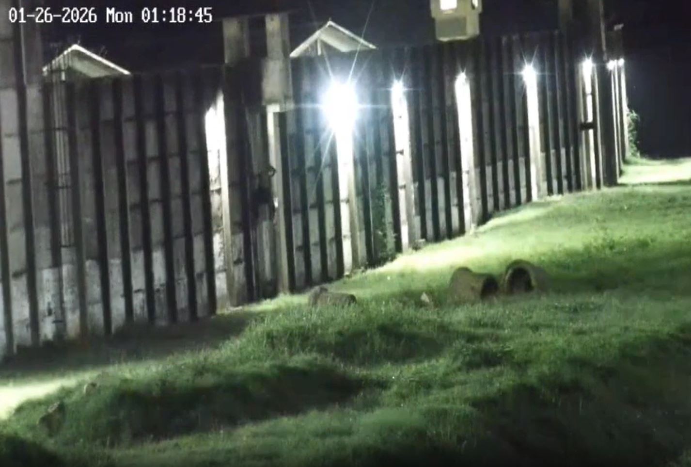 Presos fazem buraco em parede, rendem policial penal e tentam fugir do Complexo de Gericinó 