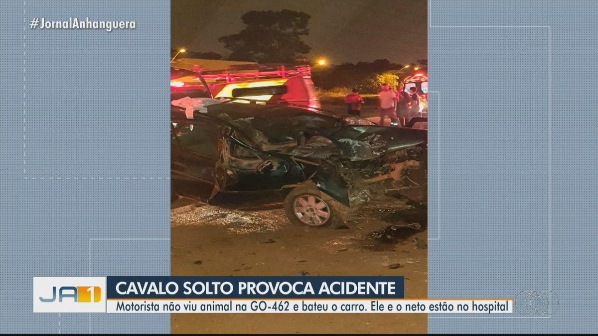 Após ultrapassagem, carro bate contra cavalo e mata passageira em Goiás