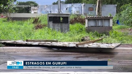 Chuva derruba árvores que atingem carros e motos em Gurupi