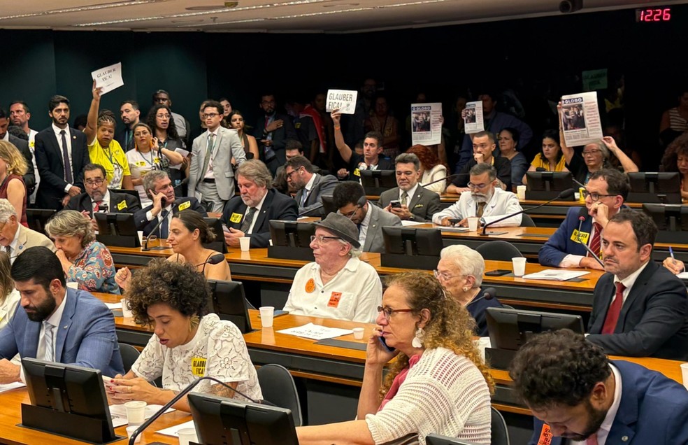 Sessão do Conselho de Ética da Câmara para votar cassação de Glauber Braga (PSOL-RJ) — Foto: Kevin Lima/g1
