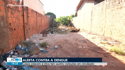 Dengue deixa o Tocantins em alerta
