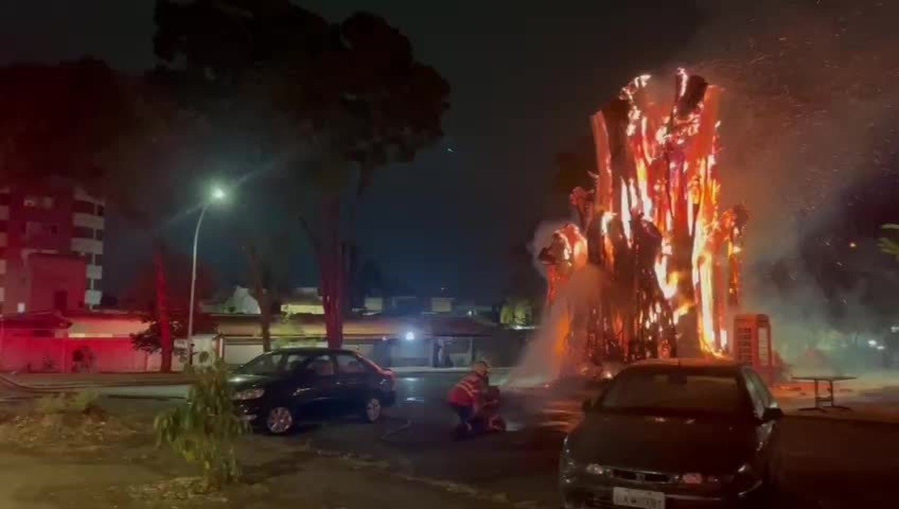 VÍDEO: Tronco de árvore pega fogo e altura das chamas assusta moradores de Brasília