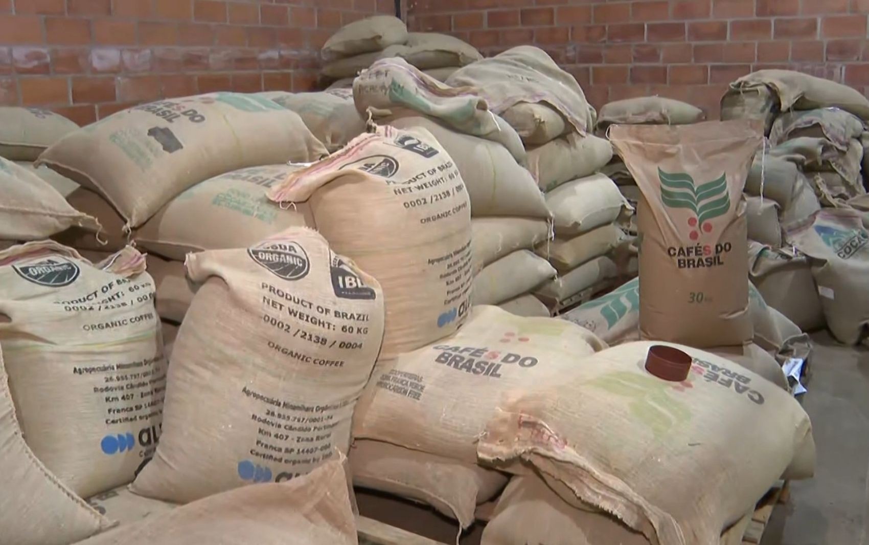 Suspensão de tarifaço reabre mercado para produtores de café de Franca, SP