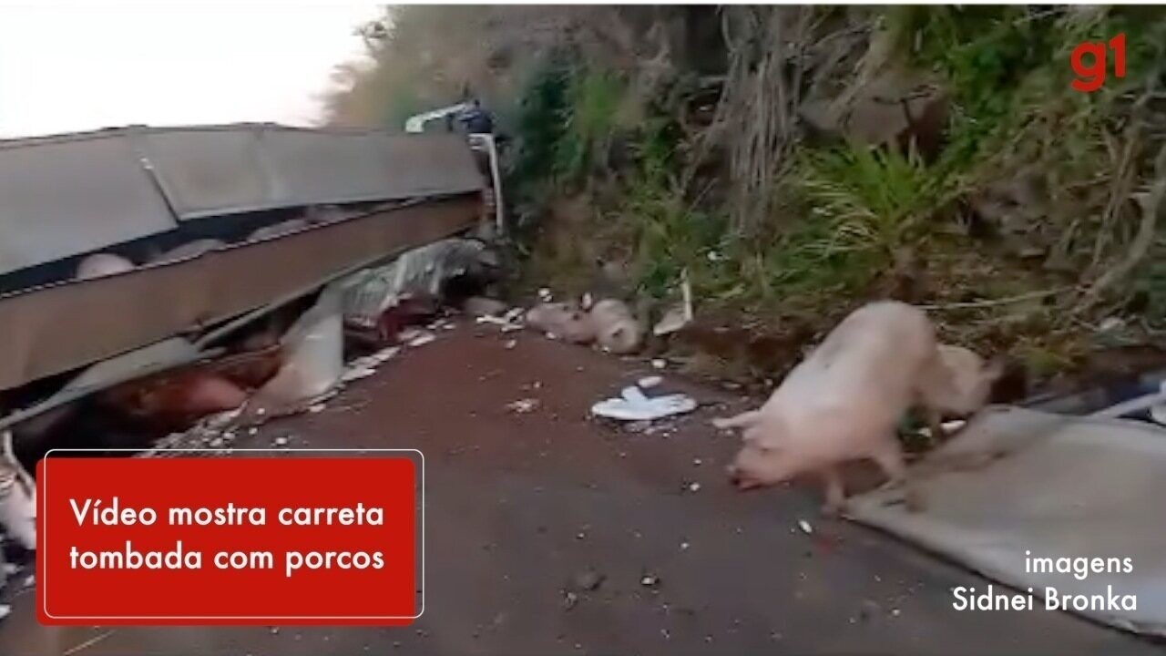 Motorista sul-mato-grossense morre prensado em acidente no RS; veja vídeo