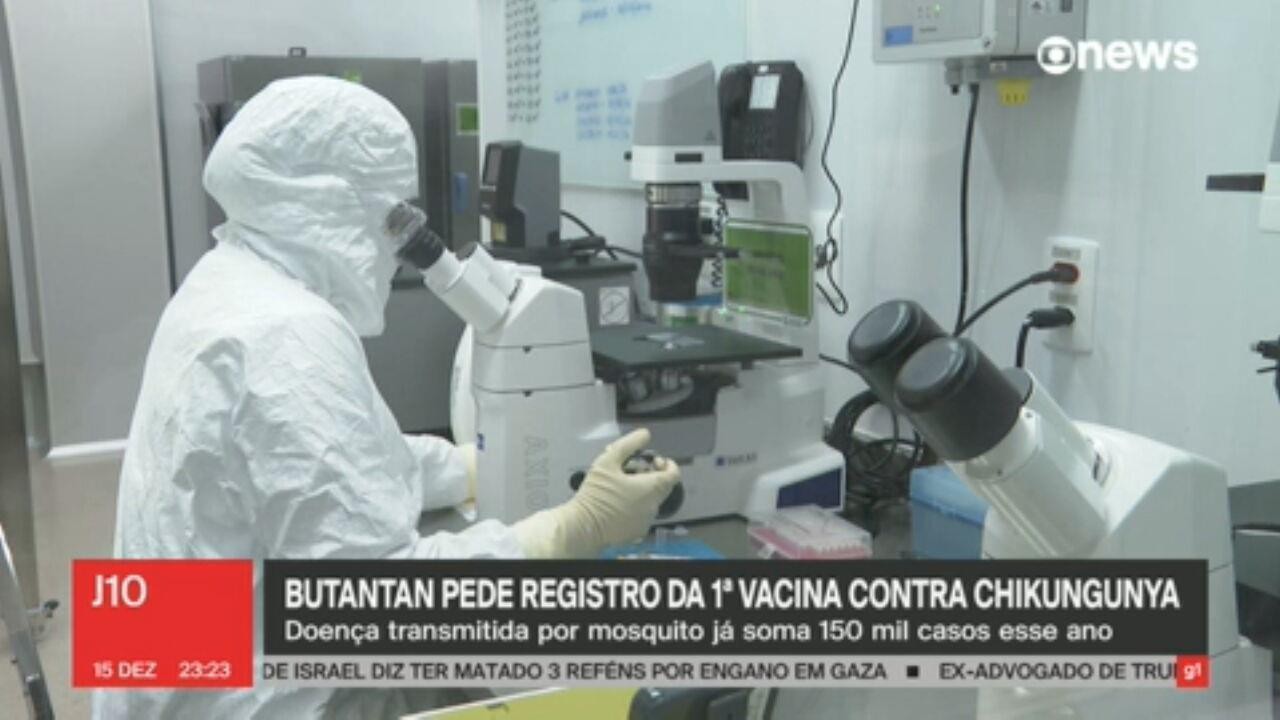 Minas Gerais Tem Dos Casos De Chikungunya Investigados No Brasil Estado Tem Maior