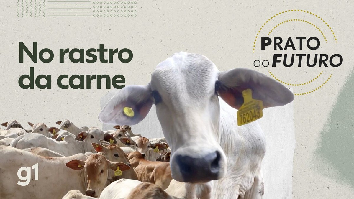 Série 'PF: prato do futuro' mostra soluções para desafios da produção de alimentos no Brasil