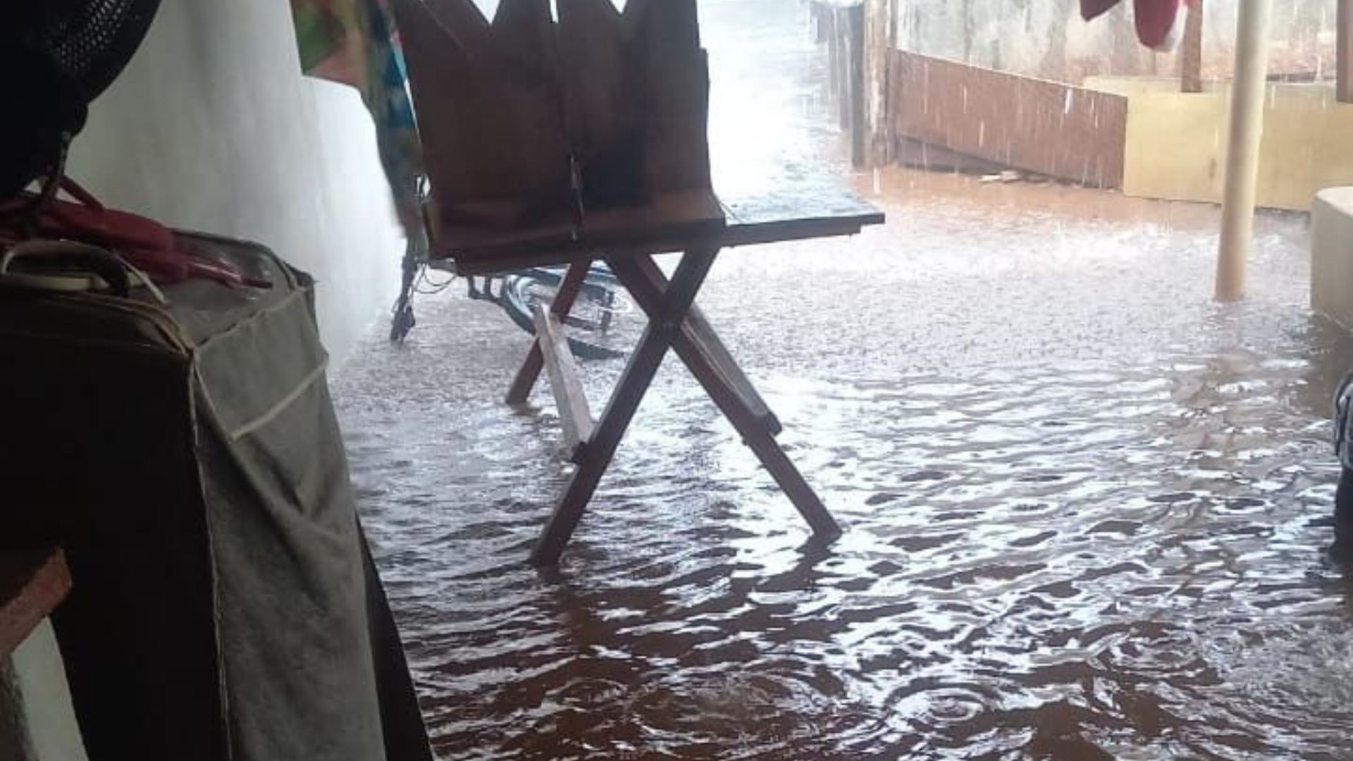 Feira cultural suspensa, árvores caídas e alagamentos: temporal provoca estragos em Uberlândia; veja danos