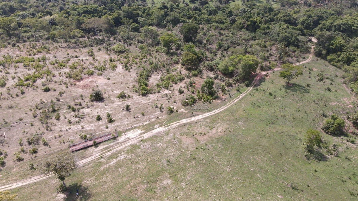 Território de comunidade quilombola é ocupado por fazendeiros no Tocantins, diz Ministério Público