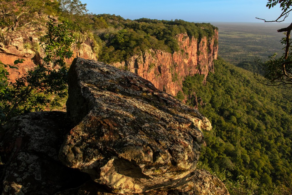 Morro do Paxixi, área de transição entre o Cerrado e Pantanal. — Foto: LuizMendes/ArquivoPessoal