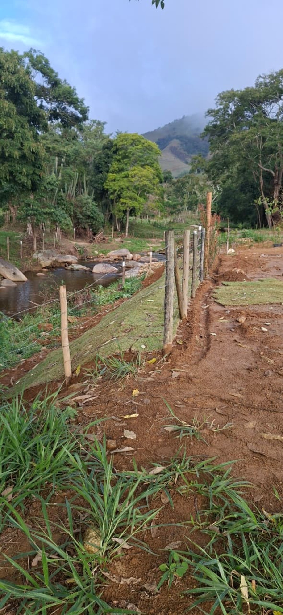 Movimentação irregular de terra em área de preservação é flagrada pela Polícia Ambiental em Rio Claro