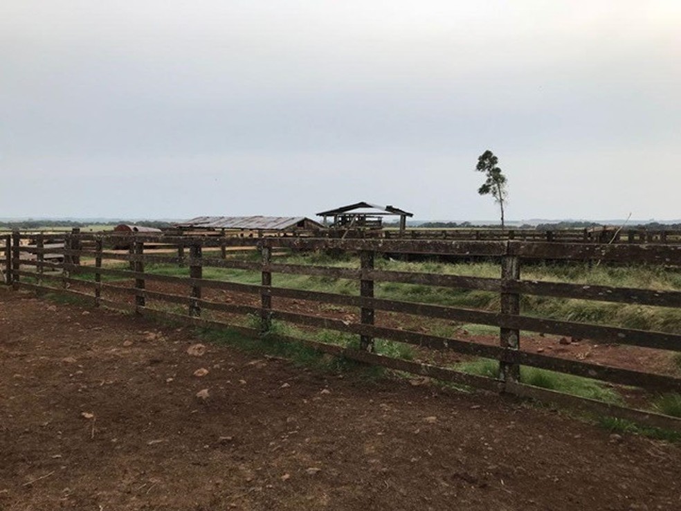 Fazenda localizada em Itacurubi leva o nome de Presidente João Goulart — Foto: Zuleika Matsumura Akimoto/Divulgação